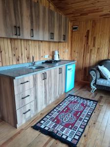 加济帕夏Hergül Holiday Village的厨房配有柜台、水槽和地毯。