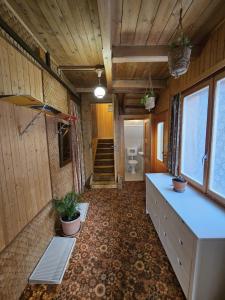 翁根Chalet Aargovia South的客房设有带水槽和卫生间的浴室