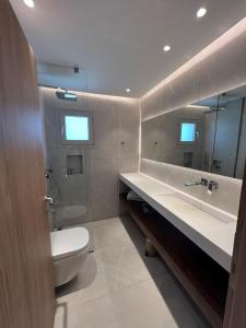 尼基季Studio Nikiti Beach的一间带卫生间、水槽和镜子的浴室