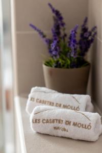 莫略Les Casetes de Molló的放在架子上的毛巾,花盆
