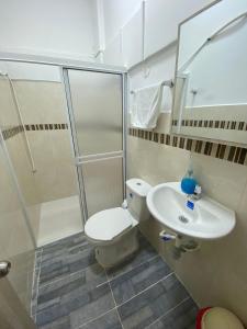图卢阿Hotel Monaco的一间带卫生间和水槽的浴室