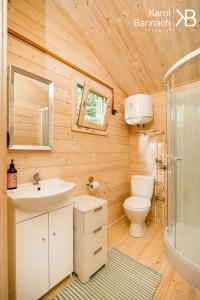 姆拉哥沃Mazurskisen的浴室配有卫生间、盥洗盆和淋浴。