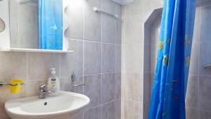 索科矿泉村Janković Apartmani u centru的浴室设有水槽和蓝色的浴帘