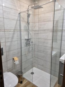 BischheimL'Oasis Moderne的浴室里设有玻璃门淋浴
