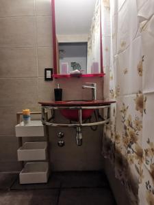 门多萨DEPARTAMENTO a 5 cuadras de la Av Aristides - Ubicacion super privilegiada的一间带水槽和红色柜台的浴室