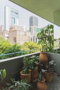 墨西哥城Xolo stays的阳台种有盆栽植物,享有城市美景