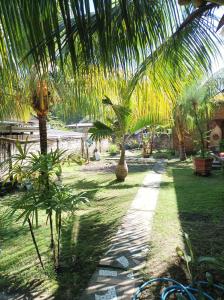 龙目岛库塔Merendeng Hostel Kuta的种有棕榈树的花园