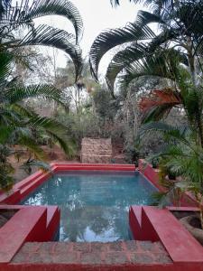MolemNature's Nest Eco Resort Goa, Near Dudhsagar Waterfalls的棕榈树花园内的游泳池