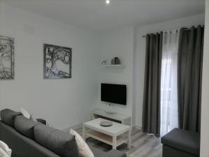 麦地那西多尼亚Precioso apartamento con patio interior.的带沙发和电视的客厅