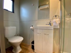 特威泽尔Stunted Totara, Unit 3的浴室配有卫生间、盥洗盆和淋浴。