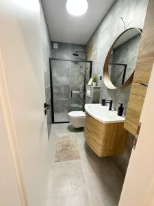 贝蒂纳Apartmani Sladić的一间带水槽、卫生间和镜子的浴室