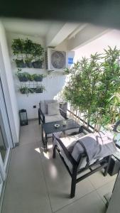 扎达尔Jazine lux apartment E&T的客厅配有椅子、沙发和植物