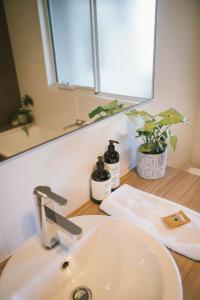 CorriginThe Mains Guest House 2 Bedroom Farm Stay的浴室水槽,配有镜子和植物