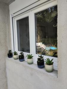 欧布纳Studio jardin的坐在窗台上的一排盆盆栽植物