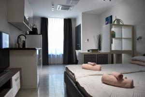 阿伊多夫什契纳Apartma Darsi的一间卧室配有两张带毛巾的床