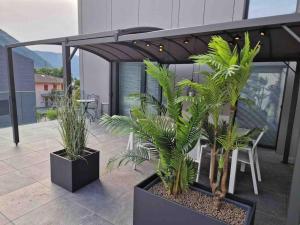 梅拉诺LabPark Terrace的两株盆栽植物坐在阳台上
