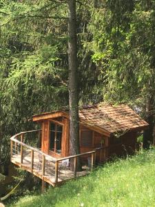圣让多尔普la Cabane dans les Arbres的树旁树林中的小木屋