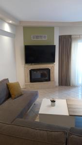 雅典Luxurious 2-bedroom 100m2 Apartment in Elliniko的带沙发和电视的客厅