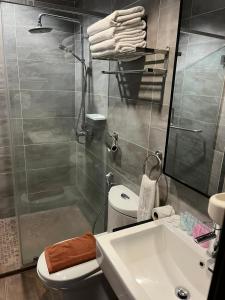 怡保Jindagu Hotel Ipoh的带淋浴、卫生间和盥洗盆的浴室