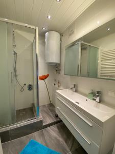 索内纳尔佩·纳斯费尔德Apartment "Herbert" Sonnleitn/Nassfeld的带淋浴、盥洗盆和镜子的浴室