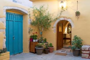 Pazinosconvexa domus的拥有蓝色门和盆栽植物的房子的入口