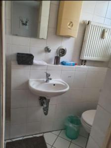 达姆施塔特Wohnung im Zentrum von Darmstadt的一间带水槽和卫生间的浴室