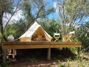 斯韦伦丹Gaia Double or Twin Bell Tent的木桌上的帐篷