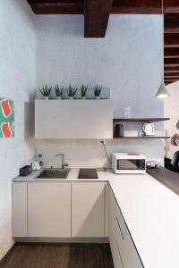 维罗纳Rosa Luxury Apartment的白色的厨房,配有水槽和两株植物
