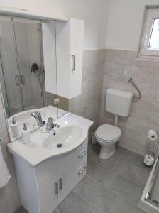 DekaniNa Zeleni cesti / On the green road的浴室配有白色水槽和卫生间。