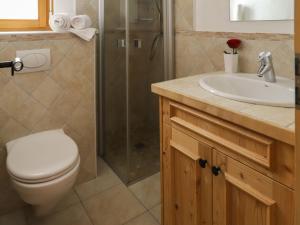 南达Apartment Les Etagnes 2est by Interhome的浴室配有卫生间、盥洗盆和淋浴。