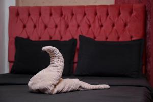 开罗Castle Hotel的躺在床上的动物蛇