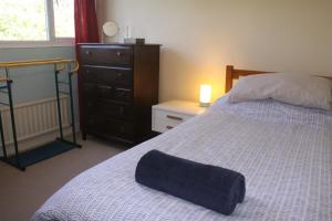 牛津Sandford Meadow Guest House的一间卧室配有一张床、梳妆台和一张睡床。