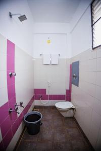 蓬蒂切里VKG Hotels的一间带卫生间和水槽的浴室