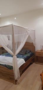 恩加帕鲁Villa Ty an heol的一间卧室配有一张带蚊帐的床