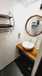 科涅克Cit'Hotel Le Cheval Blanc Cognac Centre的一间带水槽和镜子的浴室