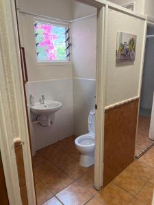 直布罗陀Emile Youth Hostel的一间带卫生间、水槽和窗户的浴室