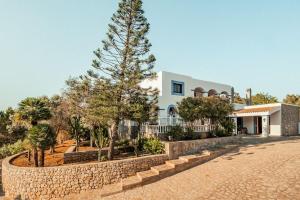 波蒂纳茨Finca Norte, Amazing villa close to the best Beaches的一座石墙和一棵树的房子