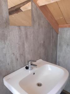 LommNatuurslaapkamer de zaadeest boskamer的浴室设有白色水槽和镜子