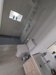 托雷洪厄尔卢比奥Un Lugar Llamado Descanso en Monfrague的白色的浴室设有卫生间和水槽。