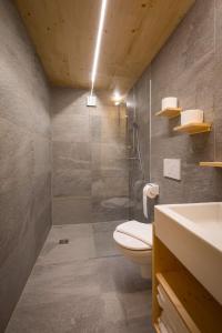 奥西阿赫Apartment Glamping Lodge B by Interhome的带淋浴、卫生间和盥洗盆的浴室