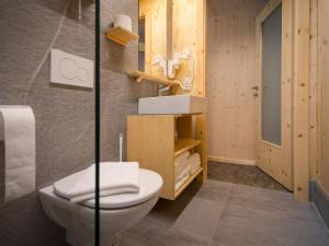 奥西阿赫Apartment Glamping Lodge B by Interhome的一间带卫生间和水槽的浴室