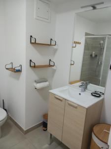拉特里尼泰Chez Candie的一间带水槽、卫生间和镜子的浴室