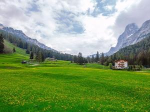蓬尼亚Chalet Cesa Galaldriel-3 by Interhome的一片绿草丛,山地背景