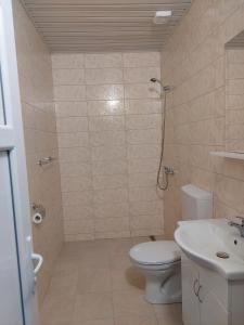 蒂瓦特NEÐO Apartments Brda的浴室配有卫生间、淋浴和盥洗盆。