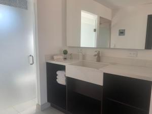 瓜达鲁佩镇San Miguel Cabañas的白色的浴室设有水槽和镜子