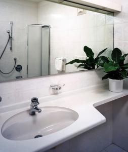 圣坎迪朵乌特露贝住宅酒店的浴室水槽,配有镜子和盆栽植物