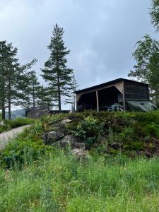 DrangedalLeilighet på Gautefall的一座树冠茂密的山顶上的建筑