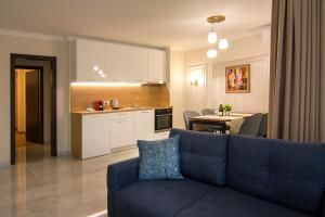 普罗夫迪夫Odrys Apartments的一间带蓝色沙发的客厅和一间厨房
