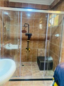 亚的斯亚贝巴Kefetew Guest House的带淋浴、水槽和卫生间的浴室