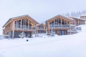 恩斯塔尔豪斯Bergresort Hauser Kaibling by ALPS RESORTS的雪中一组木制建筑